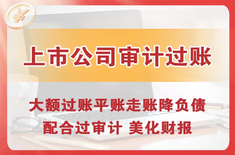 荔湾上市公司审计过账